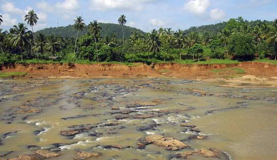 maha-oya-explore-the-majestic-serenity-of-sri-lankas-scenic-river-big-1