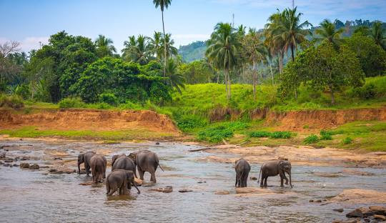 maha-oya-explore-the-majestic-serenity-of-sri-lankas-scenic-river-big-4