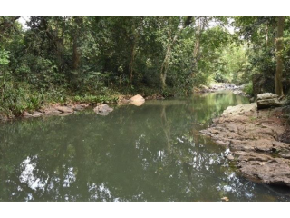 Kumbukkan Oya, The Serene River of Sri Lanka's Dry Zone