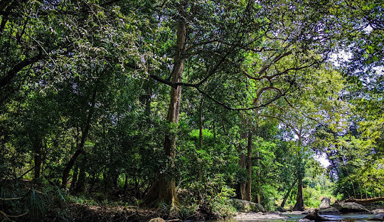 menik-ganga-the-jewel-river-of-sri-lanka-big-1