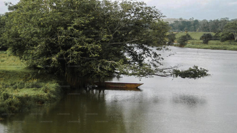 gin-ganga-the-elegant-river-of-sri-lankas-southern-hills-big-2