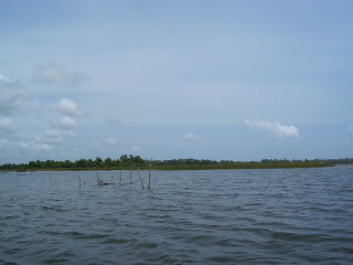 Bolgoda Lake: Sri Lanka’s Largest Freshwater Gem