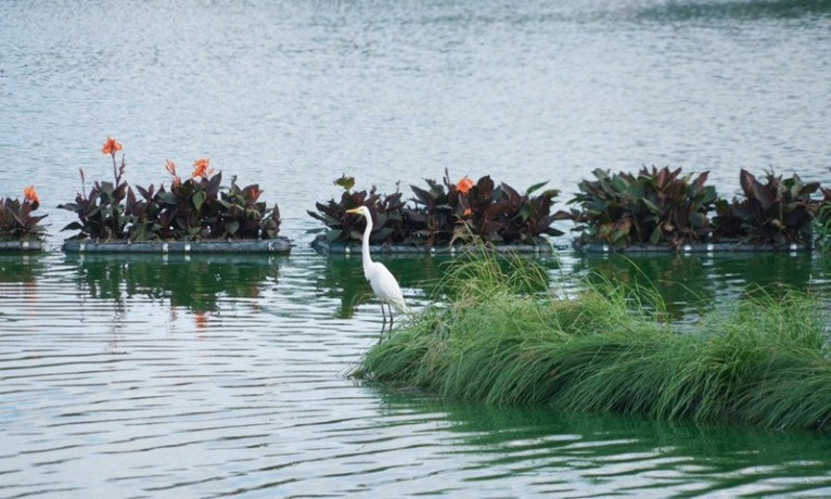 beira-lake-colombos-historic-waterway-and-urban-retreat-big-3