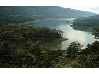 Semanikulam Lake: A Scenic Gem in Sri Lanka with Majestic Sunsets