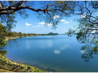 Kala Wewa Lake: Sri Lanka’s Largest Historical Reservoir and Tranquil Retreat