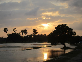 Chalai Lagoon: A Serene Natural Haven on Sri Lanka’s Northern Coast