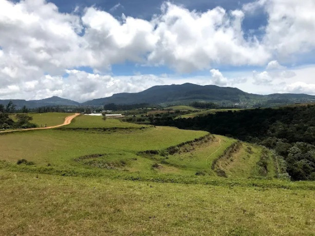 moon-plains-a-scenic-highland-plateau-with-breathtaking-views-in-sri-lanka-big-4