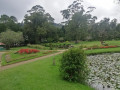 victoria-park-a-tranquil-garden-oasis-in-nuwara-eliya-sri-lanka-small-3