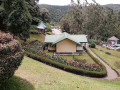 hakgala-botanical-garden-a-lush-retreat-in-sri-lankas-highlands-small-2