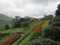 hakgala-botanical-garden-a-lush-retreat-in-sri-lankas-highlands-small-3