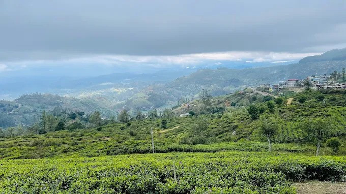 hakgala-a-scenic-highland-gem-in-sri-lankas-nuwara-eliya-big-2