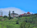 swarnagiri-maha-viharaya-the-sacred-single-tree-temple-of-sri-lanka-small-3