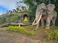 swarnagiri-maha-viharaya-the-sacred-single-tree-temple-of-sri-lanka-small-4