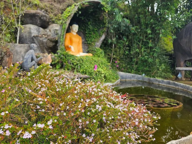 swarnagiri-maha-viharaya-the-sacred-single-tree-temple-of-sri-lanka-big-1