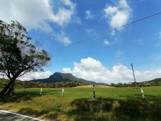 Hakgala Mountain: A Majestic Peak in Sri Lanka's Highland Region