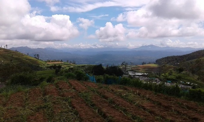 hakgala-mountain-a-majestic-peak-in-sri-lankas-highland-region-big-2