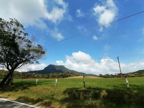 hakgala-mountain-a-majestic-peak-in-sri-lankas-highland-region-big-0