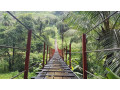 kothmale-hanging-bridge-a-scenic-adventure-in-sri-lankas-hill-country-small-3