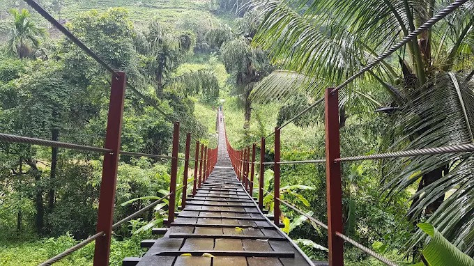 kothmale-hanging-bridge-a-scenic-adventure-in-sri-lankas-hill-country-big-3