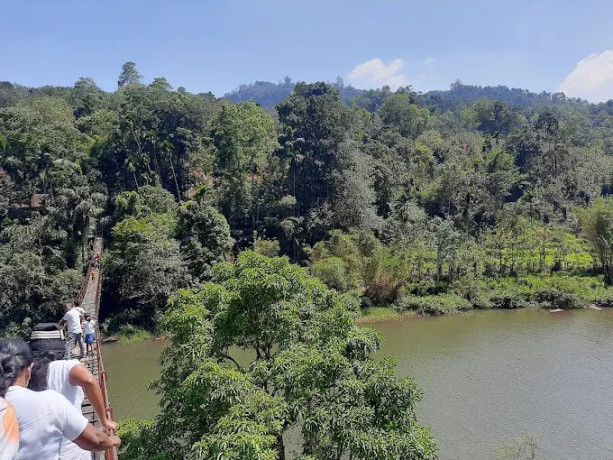 kothmale-hanging-bridge-a-scenic-adventure-in-sri-lankas-hill-country-big-2