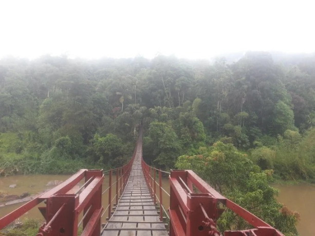 kothmale-hanging-bridge-a-scenic-adventure-in-sri-lankas-hill-country-big-1