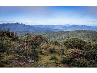 Thotupola: A Majestic Peak in Sri Lanka’s Central Highlands