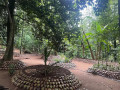 exploring-the-enchanting-kandy-spice-walk-a-journey-through-ceylons-aromatic-heritage-small-3