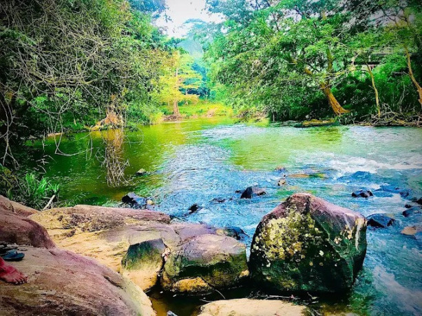 explore-kondadeniya-rajamaha-viharaya-a-hidden-gem-of-sri-lankas-sacred-buddhist-heritage-big-1