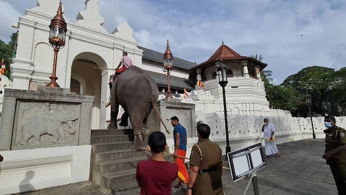 explore-sri-natha-devalaya-a-sacred-site-of-sri-lankan-hindu-and-buddhist-heritage-big-2