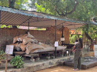 Jaffna Archaeological Museum: Exploring the Rich Heritage of Northern Sri Lanka