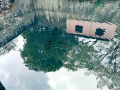 nilavarai-the-mystical-underground-water-well-of-northern-sri-lanka-small-1