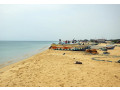 manatkaadu-beach-a-hidden-gem-on-sri-lankas-northern-coast-small-4