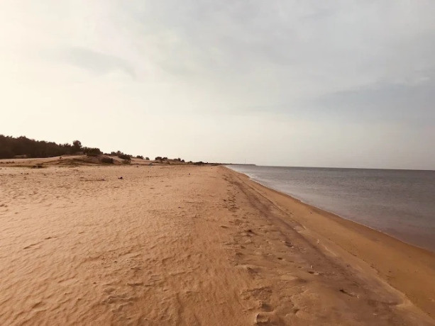 manatkaadu-beach-a-hidden-gem-on-sri-lankas-northern-coast-big-2