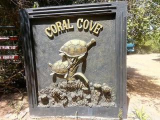 Coral Cove Beach: A Hidden Gem of Tranquility and Natural Beauty