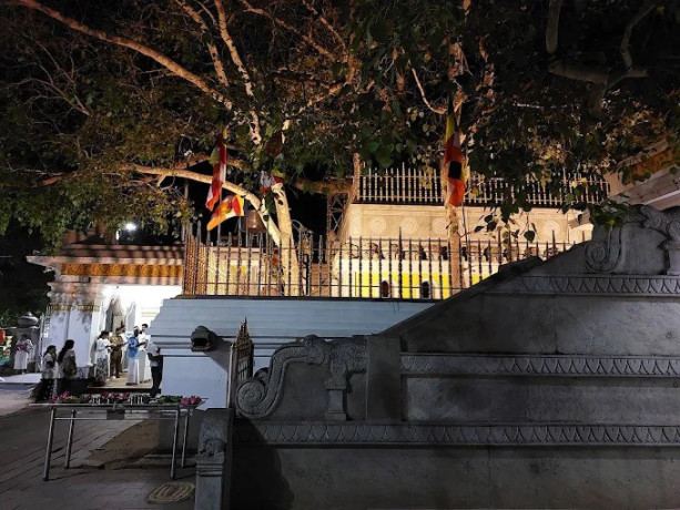 jaya-sri-maha-bodhi-the-sacred-bodhi-tree-of-anuradhapura-big-1