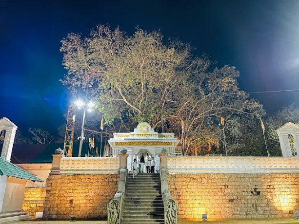 jaya-sri-maha-bodhi-the-sacred-bodhi-tree-of-anuradhapura-big-2