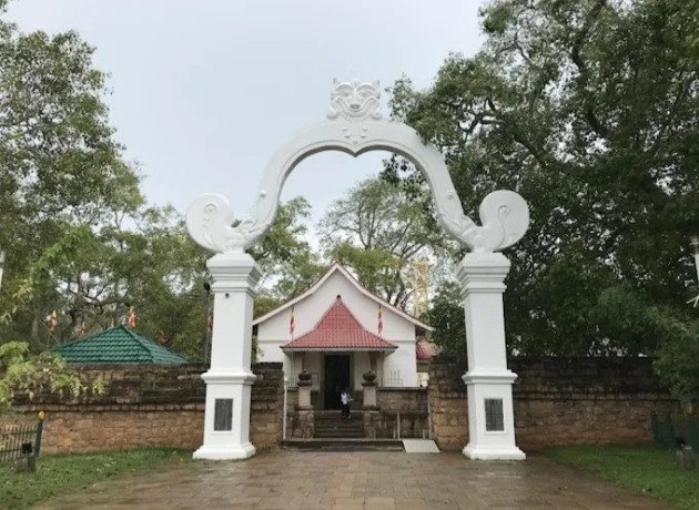 jaya-sri-maha-bodhi-the-sacred-bodhi-tree-of-anuradhapura-big-3