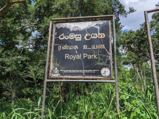 Ranmasu Uyana (Royal Park): Exploring the Ancient Gardens of Anuradhapura