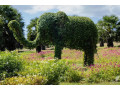 explore-the-tranquil-beauty-of-dry-zone-botanic-gardens-hambantota-small-1