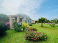 explore-the-tranquil-beauty-of-dry-zone-botanic-gardens-hambantota-small-0