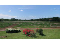 explore-the-tranquil-beauty-of-dry-zone-botanic-gardens-hambantota-small-4