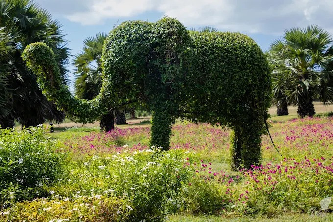 explore-the-tranquil-beauty-of-dry-zone-botanic-gardens-hambantota-big-1