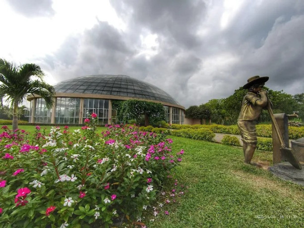 explore-the-tranquil-beauty-of-dry-zone-botanic-gardens-hambantota-big-2