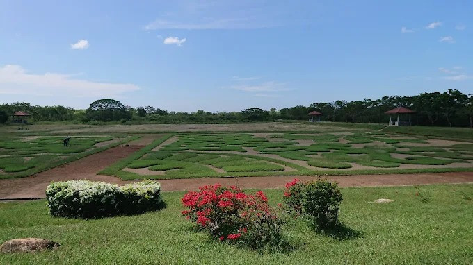 explore-the-tranquil-beauty-of-dry-zone-botanic-gardens-hambantota-big-4