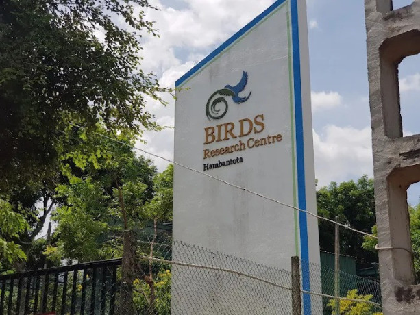 discover-avian-wonders-at-the-birds-park-birds-research-center-hambantota-big-3