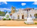 explore-the-majestic-wewurukannala-buduraja-maha-viharaya-small-4