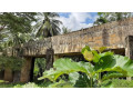 discover-the-historic-muruthawela-gini-petti-palama-small-3