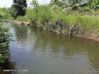 Discover the Historic Muruthawela Gini Petti Palama