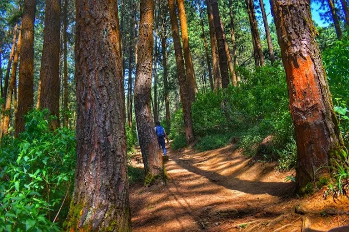 hike-to-the-scenic-monara-gala-mountain-peacock-hill-big-3