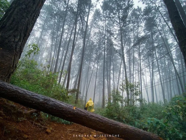 hike-to-the-scenic-monara-gala-mountain-peacock-hill-big-0